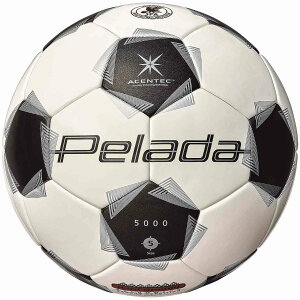 �����e�� F5K5001 �y���[�_5000�y�p 5��