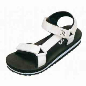 _C}c AN5401 X|T zCg(2)