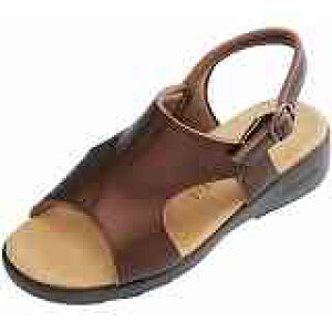 _C}c CR4595 fBXT_ SuE(242)