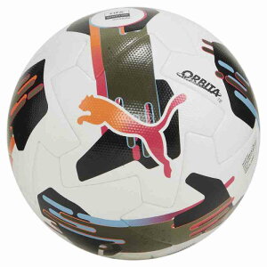 プーマ PMJ-084322-01 01 K) PUMA オービタ 1 TB (FIFA Quality プロ) (01)プーマ ホワイト/マルチカラー メンズ・ユニセックス
