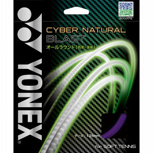 ���l�b�N�X YNX-CSG650BL-339 339 �T�C�o�[�i�`������ �u���X�g (339)�~�b�h�i�C�g�p�[�v��