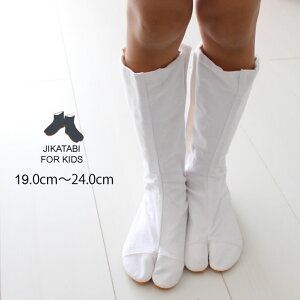 ͉@qс@Dti19cm`24cmj@qp@}WbNe[vn܁@F@10͂^Cv@19.0cm`24.0cm@[ Ղ葫 ͉ Ղ ߑ Ղpi Ղpi Ղߑ  zC