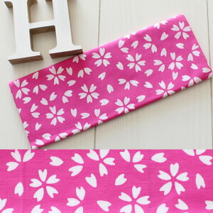 [֑ΏہՂpi@́@{ߎʂ@isNFj-40@[ @ Ăʂ @ ʂ ^I ͂܂ ˂͂܂  Ղߑ Ղߑ ]