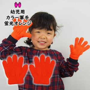 [֑Ώہ@J[R@uIW@~ĵт̂ю܁ycpz[ R  tebukuro uIW orange  ݂F ]