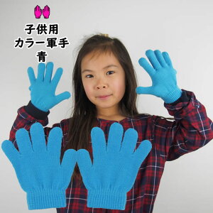 [֑Ώہ@J[R@@J[̂т̂ю܁yqpEpz[ R  tebukuro  blue u[  AI ]