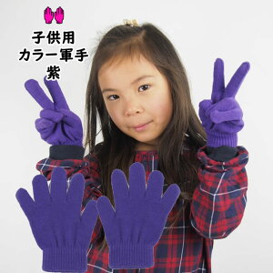 [֑Ώہ@J[R@@J[̂т̂ю܁yqpEpz[ R  tebukuro  purple p[v ނ炳 TL ]