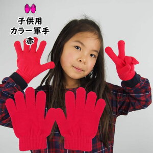 [֑Ώہ@J[R@ԁ@J[̂т̂ю܁yqpEpz[ R  tebukuro  red bh  AJ ]