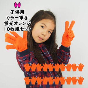 @ʍwIJ[R uIW 10oZbgi10gZbgj@J[̂т̂ю܁yqpEpz[ R  uIW orange IW   ^ V