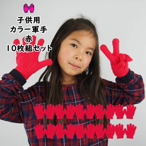 @ʍwIJ[R  10oZbgi10gZbgj@J[̂т̂ю܁yqpEpz[ R   red bh  AJ ^ VY ̈  LbY R