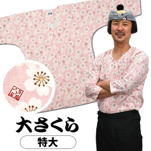   Vci@فj 傳@sNnɔԁ@TCY F lp  [ Ղߑ Ղpi ՂVc _{Vc Vc a  ԕ TN F ]