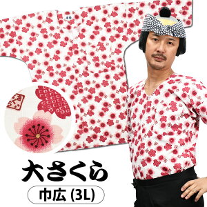  Vci@فj 傳@nɃsNԁ@TCY F lp ЍLi3Lj [ Ղߑ Ղpi ՂVc _{Vc Vc a  ԕ TN ]@y傳