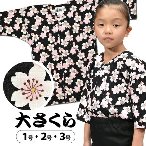 [֑Ώہ  Vci@فj 傳@F@TCY F qp 1E2E3@[ Ղߑ Ղpi ՂVc _{Vc Vc a  ԕ TN ]@