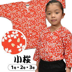 [֑Ώہ Ցg Vci@فj @ԐF@TCY F qp 1E2E3@[ Ղߑ Ղpi ՂVc _{Vc Vc a ԕ  TN ]@yՑg