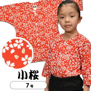 [֑Ώہ Ցg Vci@فj @ԐF@TCY F qp 7@[ Ղߑ Ղpi ՂVc _{Vc Vc a ԕ  TN ]@yՑgz