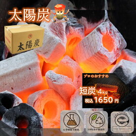 地球にやさしい 備長炭 バーベキュ 木炭 太陽炭 ・ 短炭4kg BBQ アウトドア 炭【あす楽対応】
