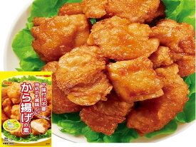 【送料無料】下味付け不要　冷めても美味しい日本食研 から揚げの素 160g入って8人前/袋【追跡可能メール便】【代引不可】