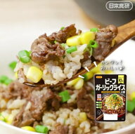 【送料無料】日本食研 ビーフガーリックライスの素　4袋組　3〜4人前/袋【追跡可能メール便】