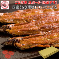 うなぎ蒲焼き3尾 【ご自宅用 段ボール】 国内産 地焼き鰻 (1尾あたり 120g-139g) 炭焼きうなぎの魚伊 鰻 …