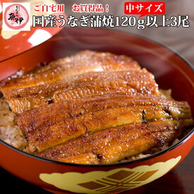 楽天市場限定【ご自宅用3尾】（一尾あたり120g〜139g）地焼き蒲焼き3尾ご自宅用に段ボールでお届け/包装・熨斗紙・メッセージカード不可〔炭焼きうなぎの魚伊/国内産ウナギ使用〕_