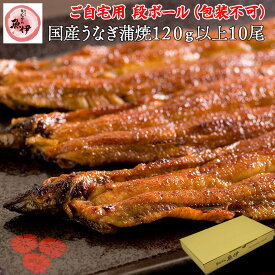 うなぎ蒲焼き10尾 【ご自宅用 段ボール】 国内産 地焼き鰻 (1尾あたり 120g-139g) 炭焼きうなぎの魚伊 鰻 うなぎ ウナギ 魚伊楽天市場限定 グルメ 【包装 熨斗紙 不可】_
