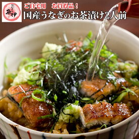 うなぎ 茶漬け 2人前 【ご自宅用 お試しセット 送料無料】 (だし たれ 薬味付き) 国内産 (1人前 鰻 40g) 炭焼きうなぎの魚伊 鰻 うなぎ ウナギ 魚伊楽天市場限定 ご自宅用に簡易袋でお届け グルメ 【包装 熨斗紙 不可】_