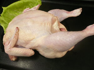 i!![Xg`LɂHY {@ۂ܂1H@1200g