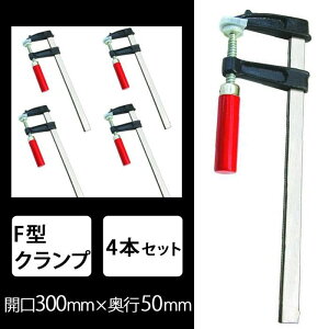 F^Nv H 300mm 4{Zbg SN-FC4810L