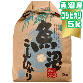 送料無料 新米 魚沼産コシヒカリ5kg 米 こしひかり 魚沼産 新潟県高級米 新潟産コシヒカリ プレミアムライス ブランド米 美味しいお米 白ごはん 家庭用米 贅沢な食卓 お米の通販 直送米 お中元ギフト お歳暮ギフト ご飯のお供 栄養豊富 精米 人気の米