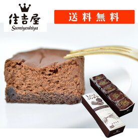 とろける ショコラ 10個入 チョコレートケーキ 個包装 チョコレート ケーキ ギフト 差し入れ 可愛い お菓子 手土産 チョコ スイーツ プレゼント 高級チョコレート 詰め合わせ 誕生日 母の日 冷凍 冷蔵 チョコケーキ 高級 個別包装 洋菓子 お取り寄せ チョコレート菓子