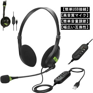 �w�b�h�Z�b�g �w�b�h�z�� USB �}�C�N���� �y�� �L�� ������ �~���[�g�@�\�t�� PC WEB��c �e�����[�N �����[�g���[�N �Q�[�� �r�W�l�X Chrome mac windows