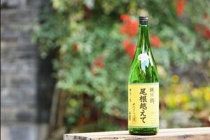 Qɂ͈I{EQ\sE싽uzāv720mlȂ