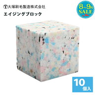 【8月～9月特価】 大塚刷毛製造 デコペンツール エイジングブロック 10個入り