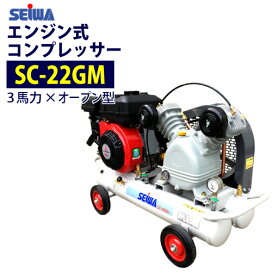 楽天市場】【5～6月特価！】精和産業 エアレス塗装機用 エアレスホース 