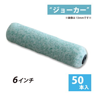 X[[[yW[J[z6C` (я8E13E20mm) 50{Zbg