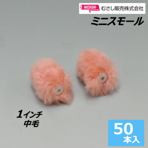 ~jX[[[ 1C`yсz (50{)