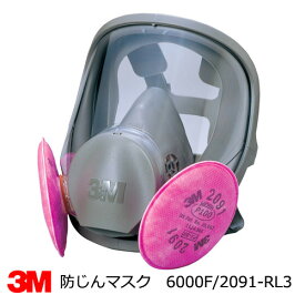 防塵マスク兼防毒マスク 3M(スリーエム) 6000F/2091-RL3全面体 アスベスト・ダイオキシン防塵対応