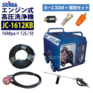 ݌ɂ [OKł aY h\GW@yJC-1612KBz z[X30M+ʃZbg ZC Ɩp