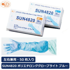 Tt[ SUN4820 |G`OO[uCg u[ 1P[X2000 P[X̔ Hiq@K |G` Љ G{X ĝĎ fBX| St S  S6