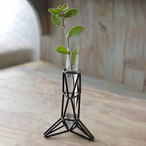 MIYUKI r[Yō֑}Lbg mg[ BHD-189