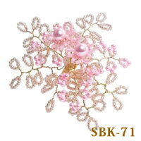 SBK71