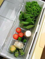 楽天市場】野菜 専用 冷蔵庫の通販