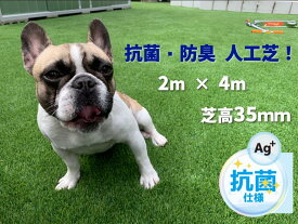 ドッグランに! 芝丈35mm 超高密度 人工芝 リアル2m×4m 高密度45万本/m2 高耐久 ロール 人工芝ロール 人工芝生 人工芝 ドッグラン DIY ガーデン 屋上 リアル 4m 芝生 35mm 芝 おしゃれ