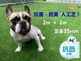 ドッグランに! 芝丈35mm 超高密度 人工芝 リアル2m×2m 高密度45万本/m2 高耐久 ロール 人工芝ロール 人工芝生 人工芝 ドッグラン DIY ガーデン 屋上 リアル 2m 芝生 35mm 芝 おしゃれ