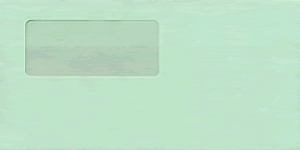 퐶 333108 tiO[jV[̂t