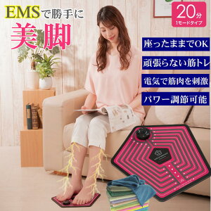 EMS  ؗ Abv  ems 悹邾 Ȃ^ r ؃g  ObY _CGbg ܂ g[jOWFpbh sv ܂ fXNłł N nr 