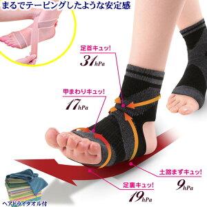  Œ T|[^[ e[sO C \tg X|[c ejX St oXP PT|[^[  Œ  h~ Ռz ֐ T|[g Sy ̗\h P \h ֐ 