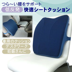 姿勢矯正 クッション 背もたれの人気商品 通販 価格比較 価格 Com