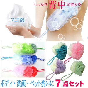 {fB X|W A lbg {fB EHbV oX {[ w  􂢁y7gz{fB Sg uV ^I bV X|W EHbV RR ӂӂ Lׂ A Rt