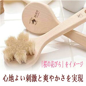 {fBuV n w  ̐ VR oXObY C ACe ynт̃{fBuV z֗ ObY  jLr ь r Sg XLPA A _炩