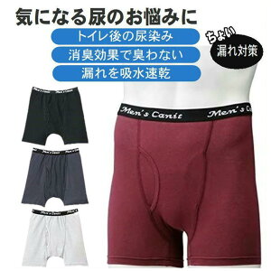 փpc AR jp   pc Y A y cA ΍ amy₩ gNX 1zV[c u[t  Ci[ 傢R S Y  ֗ ACe g